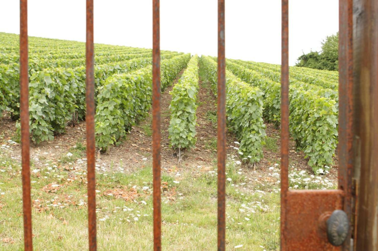 Bed and Breakfast Au Coeur Des Vignes Épernay Exterior foto